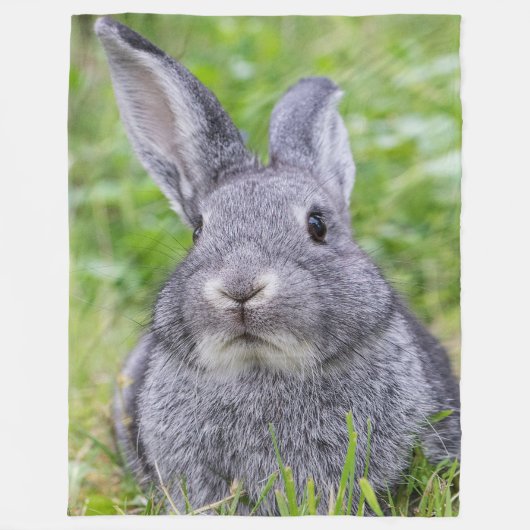 Dwarf konijnenkonijn fleece deken (Voorkant)