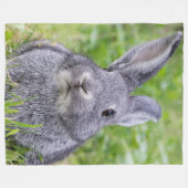 Dwarf konijnenkonijn fleece deken (Voorkant (Horizontaal))