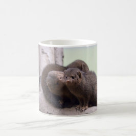 Dwarf Mongoose Kiss Koffiemok