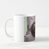 Dwarf Mongoose Kiss Koffiemok (Links)