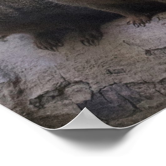 Dwarf Mongoose Pack Poster (Hoek)