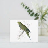 Dwarf Parrakeet-Maccaw door Edward Lear Briefkaart (Staand voorkant)
