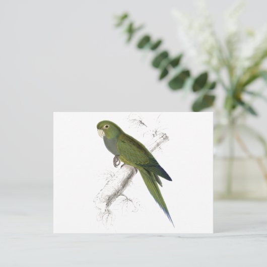 Dwarf Parrakeet-Maccaw door Edward Lear Briefkaart (Staand voorkant)