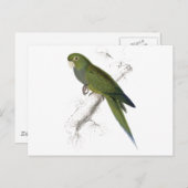 Dwarf Parrakeet-Maccaw door Edward Lear Briefkaart (Voorkant / Achterkant)