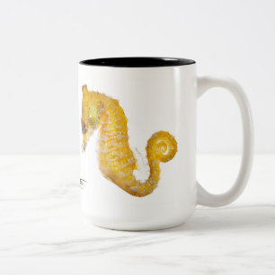 Dwarf Seahorse, Hippocampus zosterae Tweekleurige Koffiemok