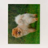 Dwarf Spitz Pommeren Dog. Legpuzzel (Verticaal)