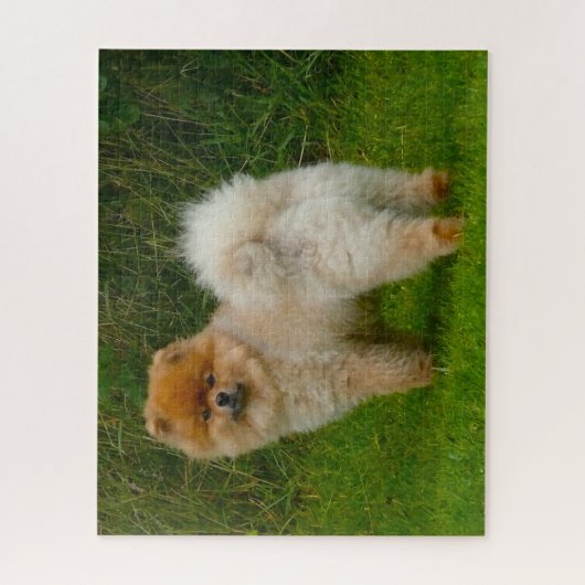 Dwarf Spitz Pommeren Dog. Legpuzzel (Verticaal)