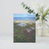 Dwarf vuurweed, Hudson Bay, NWT, Canada Briefkaart (Staand voorkant)