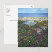 Dwarf vuurweed, Hudson Bay, NWT, Canada Briefkaart (Voorkant / Achterkant)
