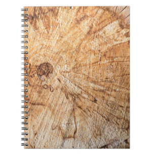dwarsdoorsnede van de appelboom (Malus)abstract, b Notitieboek
