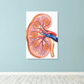 dwarsdoorsnede van de interne anatomie van een nie canvas afdruk (Insitu (Houten vloer))