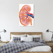 dwarsdoorsnede van de interne anatomie van een nie canvas afdruk (Insitu (Slaapkamer))