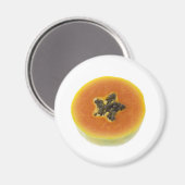 Dwarsdoorsnede van een papaya magneet (Voorkant / Achterkant)