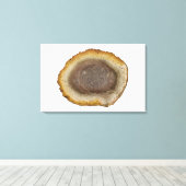 Dwarsdoorsnede van een Versteende Veenstam (Tietea Canvas Afdruk (Insitu (Houten vloer))