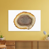 Dwarsdoorsnede van een Versteende Veenstam (Tietea Canvas Afdruk (Insitu (Woonkamer))
