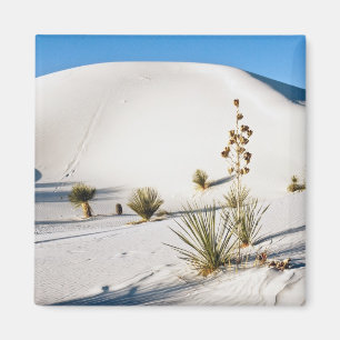 Dwarsduinen en Soaptree Yucca Magneet