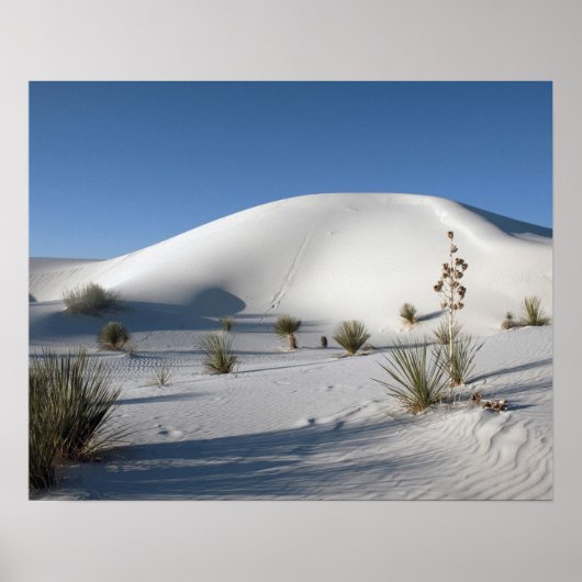 Dwarsduinen en Soaptree Yucca Poster (Voorkant)