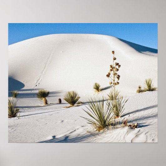 Dwarsduinen en Soaptree Yucca Poster (Voorkant)