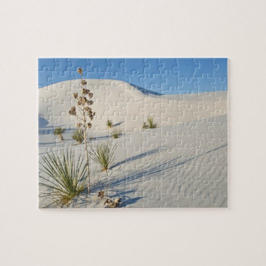Dwarsduinen, Yucca, schaduwen Legpuzzel (Horizontaal)