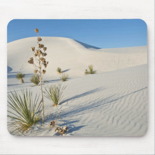 Dwarsduinen, Yucca, schaduwen Muismat