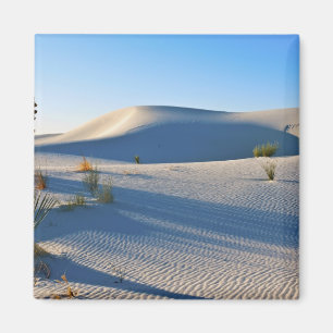 Dwarsduinen, Yucca, Vroeg Ochtendlicht Magneet