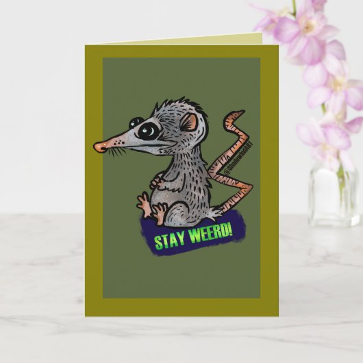 dwaze opossum kaart (Orchidee)