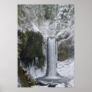 Dwaze waterval Omringd door een sneeuwbos Poster