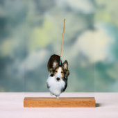 dweil acryl bord (Neutraal)