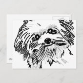 dweil briefkaart (Voorkant / Achterkant)