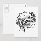 dweil briefkaart (Voorkant / Achterkant)