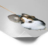 dweil foto afdruk (Hoek)