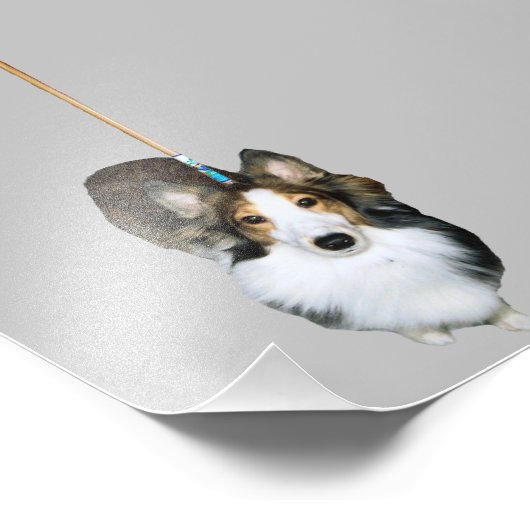 dweil foto afdruk (Hoek)