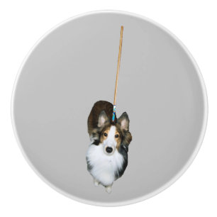 dweil keramische knop