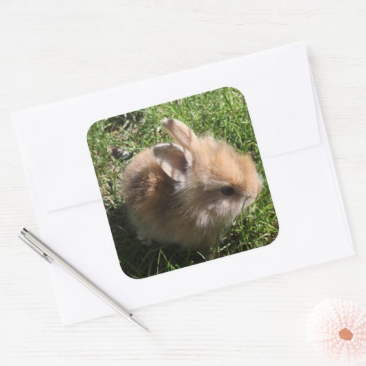 Dwerg Bunny Stickers (Envelop)