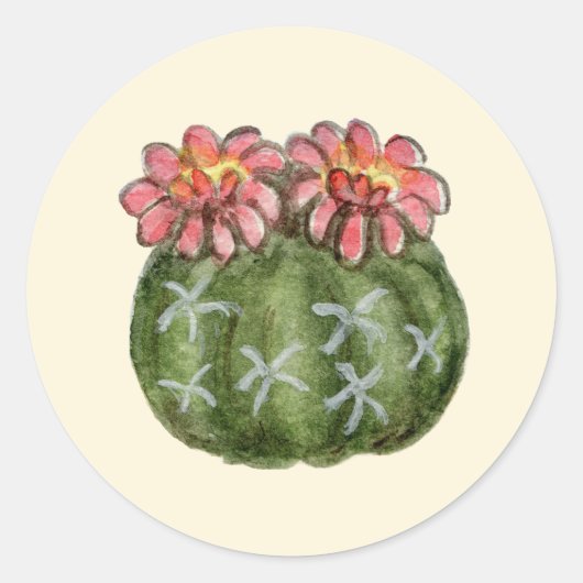 Dwerg Chin cactus sticker (Voorkant)