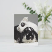 Dwerg-eared konijn die over met hangende oren briefkaart (Staand voorkant)