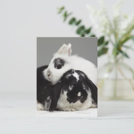 Dwerg-eared konijn die over met hangende oren briefkaart (Staand voorkant)