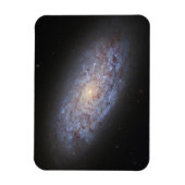 Dwerg Galaxy NGC 5949. Magneet (Verticaal)