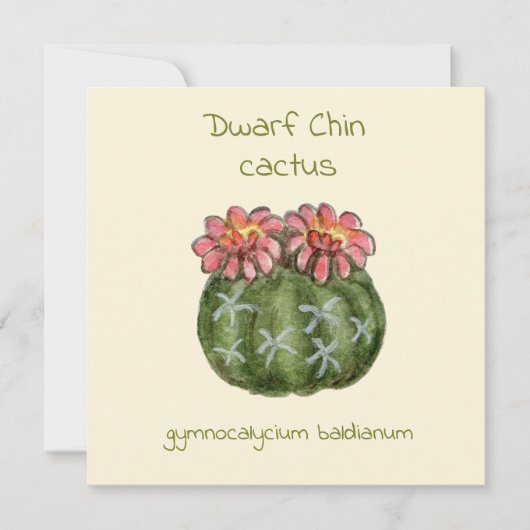 Dwerg kin cactus kaart (Voorkant)