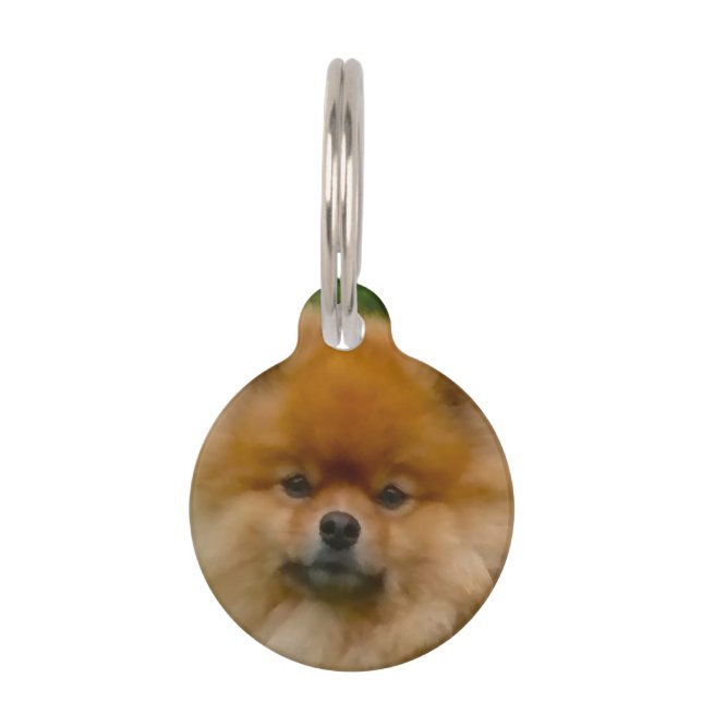 Dwerg Spitz Pomeranian Hond. Huisdierpenning (Voorkant)
