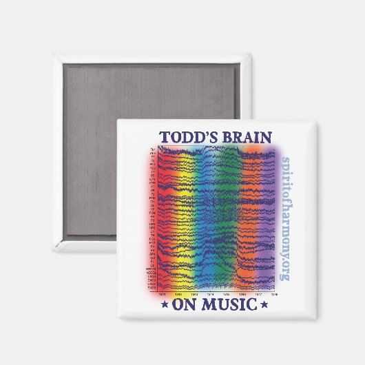 dwergbrein magneet (Voorkant / Achterkant)