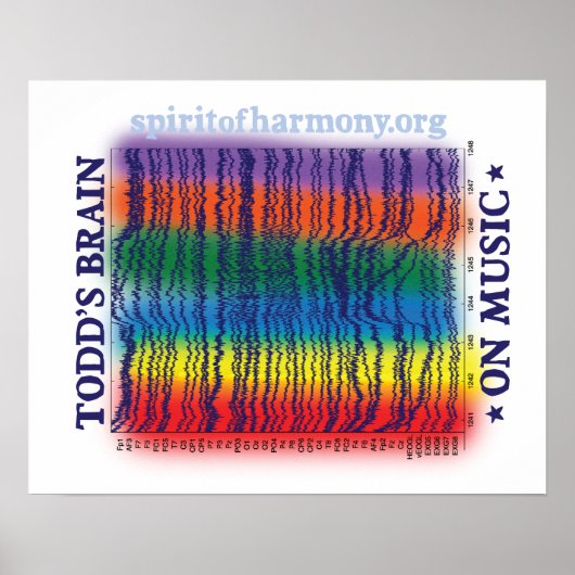 dwergbrein poster (Voorkant)