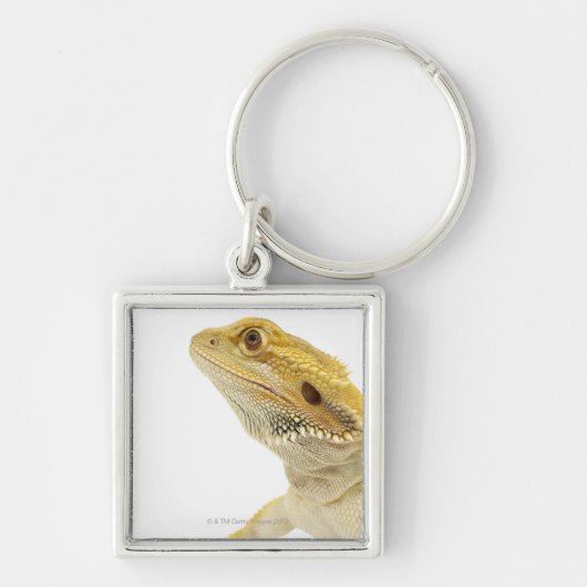 Dwergdraak (Pogona Vitticeps) Sleutelhanger (Voorkant)
