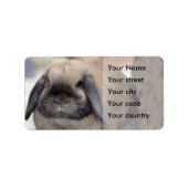 Dwergkonijn met lipoen etiket (Voorkant)