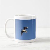 Dwergmeeuw Koffiemok (Links)