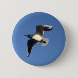 Dwergmeeuw Ronde Button 5,7 Cm
