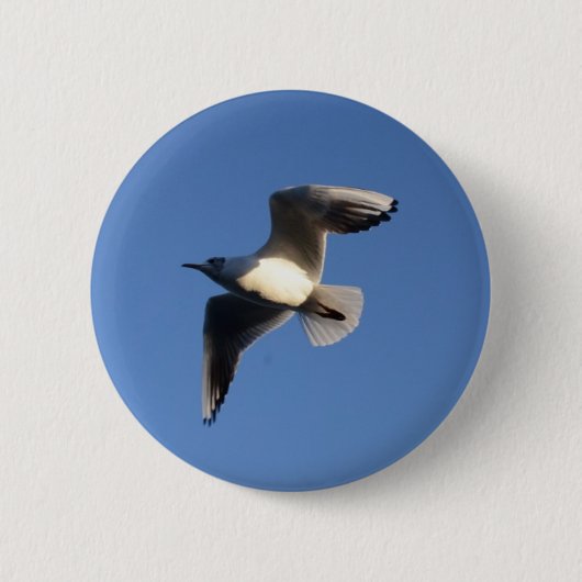 Dwergmeeuw Ronde Button 5,7 Cm (Voorkant)