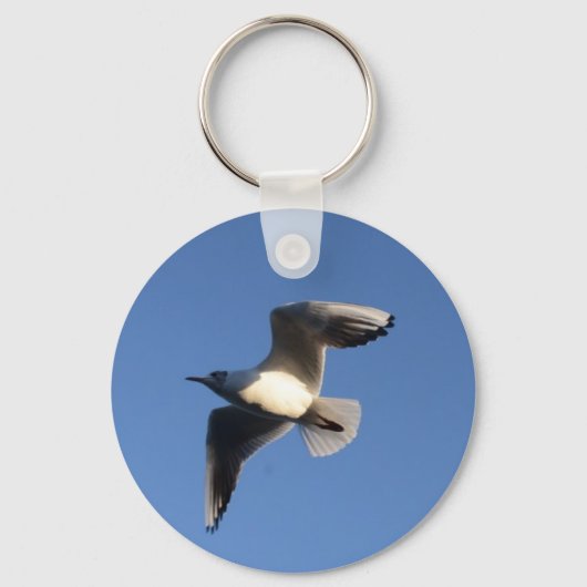 Dwergmeeuw Sleutelhanger (Voorkant)