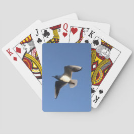 Dwergmeeuw Speelkaarten