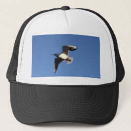 Dwergmeeuw Trucker Pet